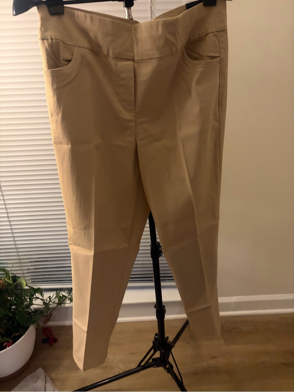 Alfred Dunner Stone Proportioned Short Pants Size 12 NWT